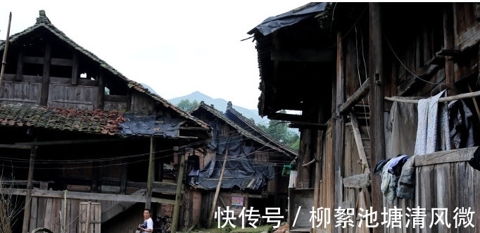 黑色|8岁男孩上吐下泄,竟然全是黑色毛毛虫,连医生都被吓到了!