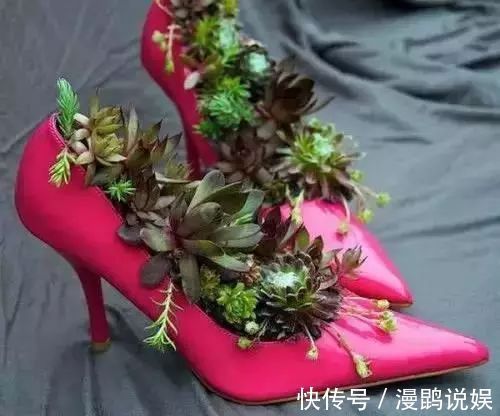 小花|别再花钱买普通花盆了,你意想不到的种花神器!