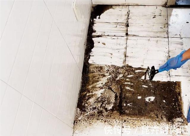 油污|杭州姑娘买下老房嫌太脏,请7名保洁师打扫清理,网友:太专业了