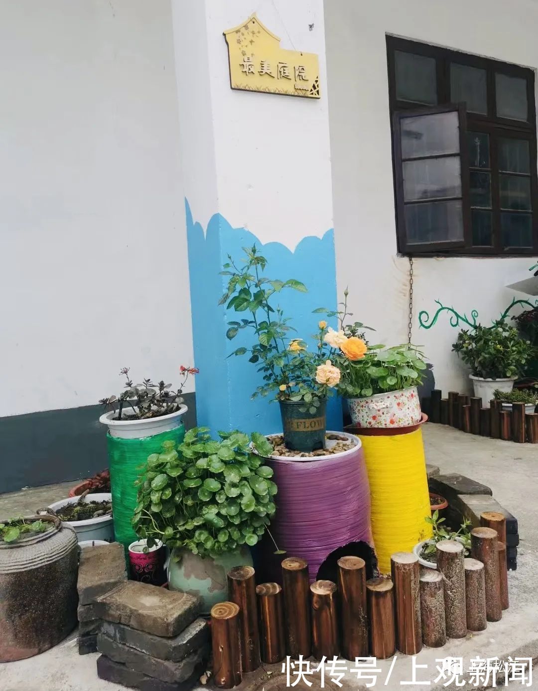 院子|这样的小院，谁不爱？