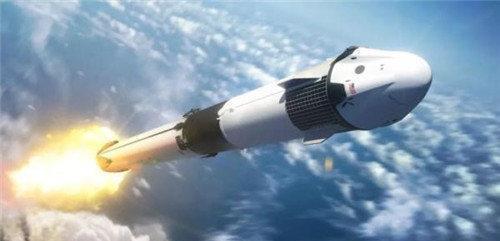 太空 美国将2487只水母送入太空,繁殖到6万只后,科学家发现不太对劲