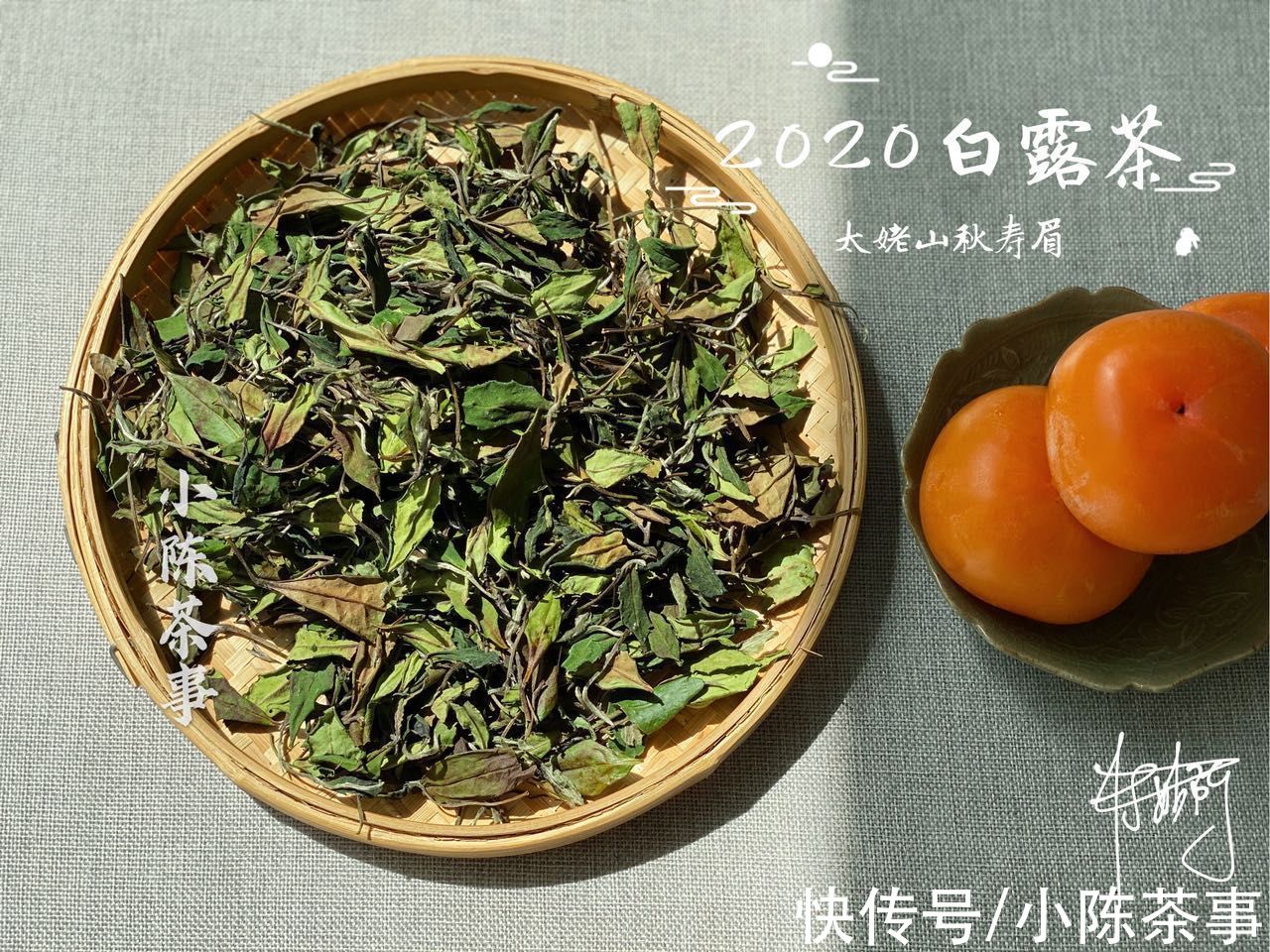 茶味|白露时节宜煮茶，白茶、红茶、岩茶，秋天的第一壶好茶怎么选？