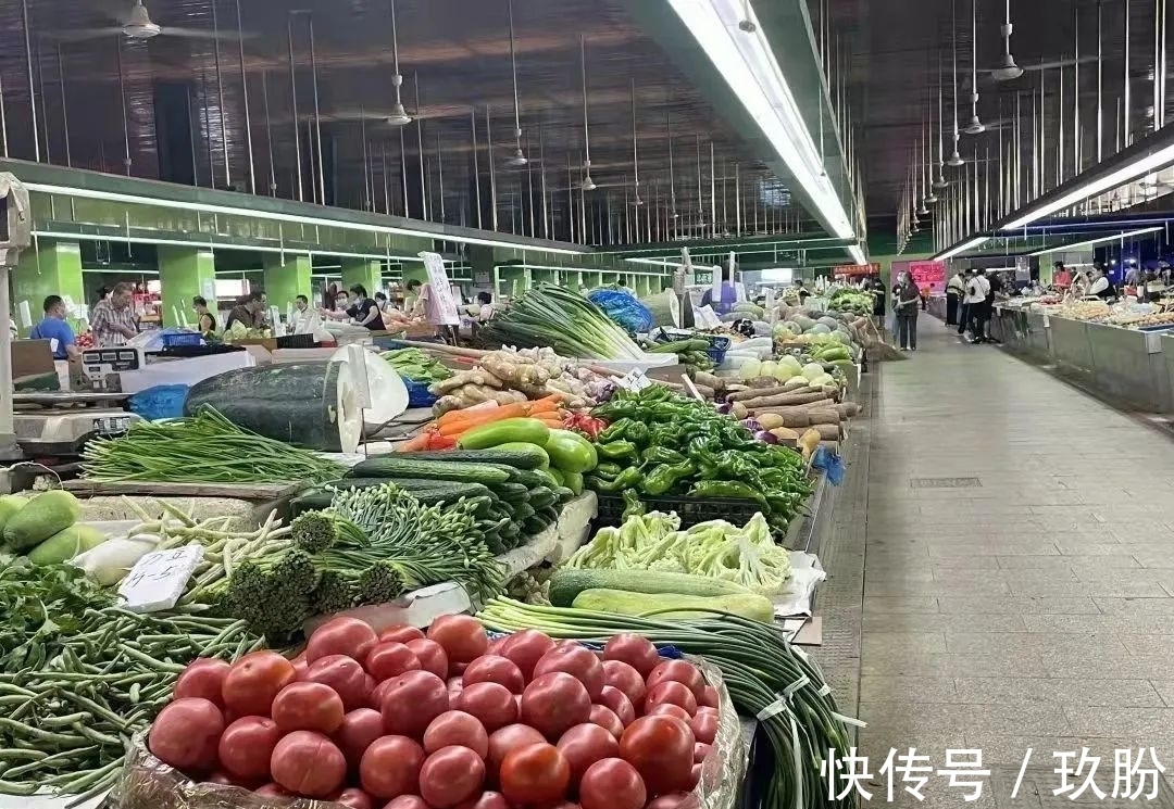 贸易代理:连接全球市场的桥梁