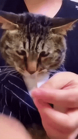 |搞笑GIF:这特效真给我开眼了!法海都不敢收你!