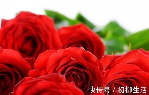 爱情来敲门|未来一个月,桃花接二连三,爱情来敲门,四大生肖良缘佳偶来相聚