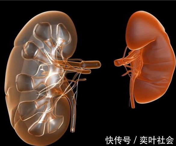 胆固醇|血管''堵''的人，少碰2黄，多做4事，坚持1月，胜吃溶栓药