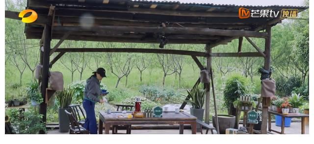 真实|张子枫的真实:融不进去就玩自己的,管你是那英还是梁静