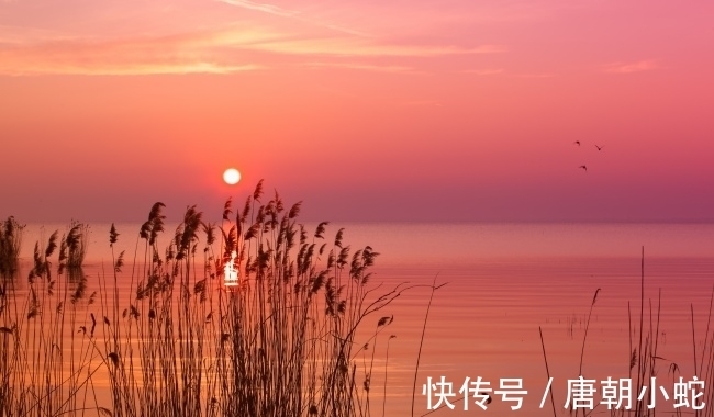 辛丑！七律｜人间至美是清秋