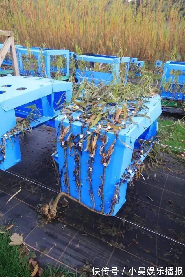 家具|头一次见这样子的家具，全身上下没有一颗螺丝，生产一把要10年