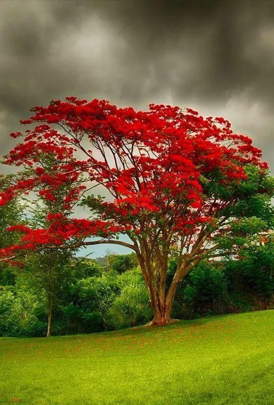 传来|太美了,世界照片今天终于传来,罕见至极,一睹为快