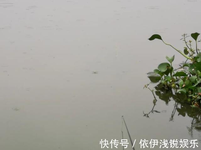 半目|轻口鱼难钓?按我的方法做一钓一个准,再小的口也能逮住