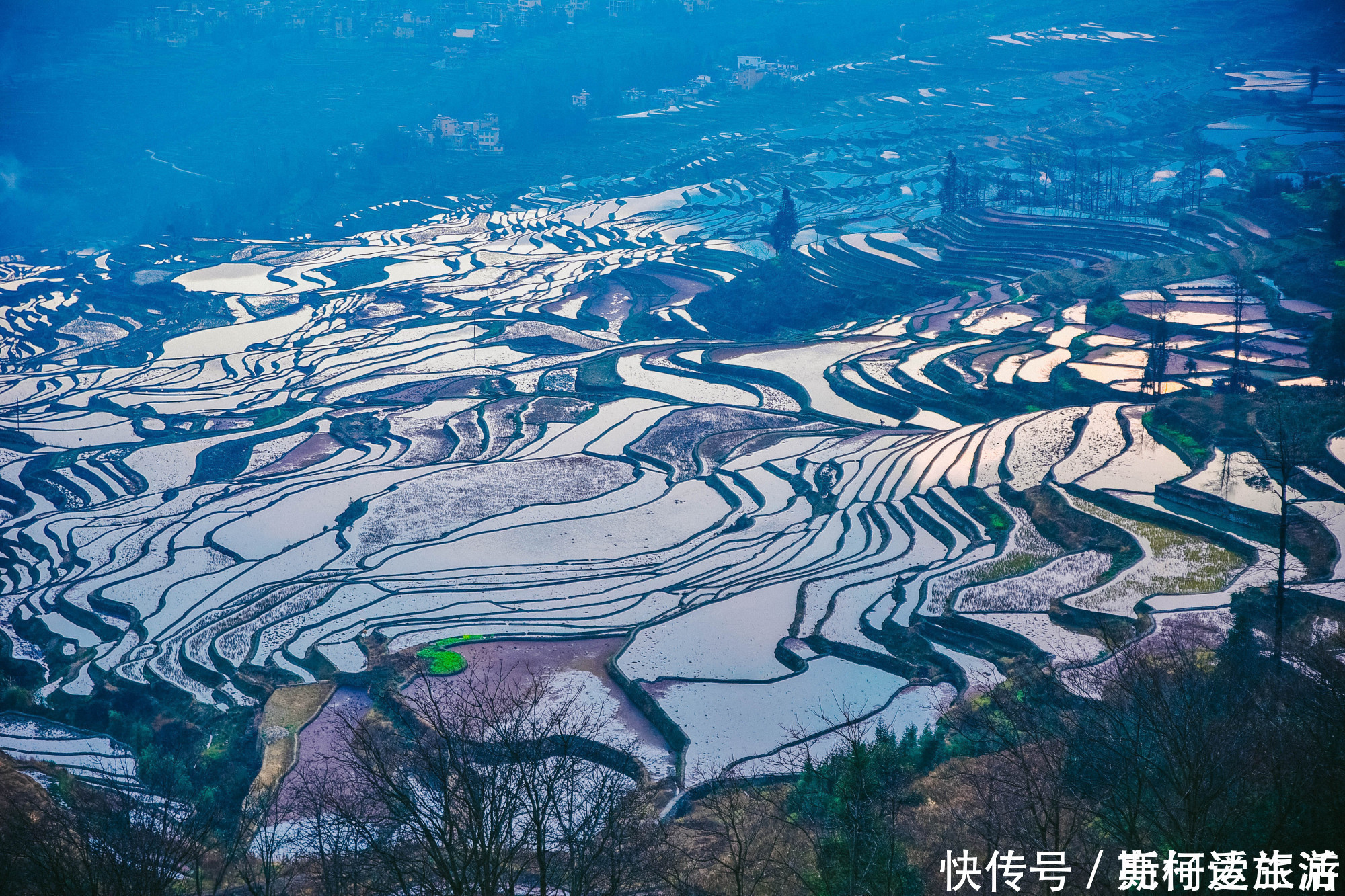 红河哈尼梯田|中国最大梯田，3700阶梯田像直插云海的天梯，游客：第一次见