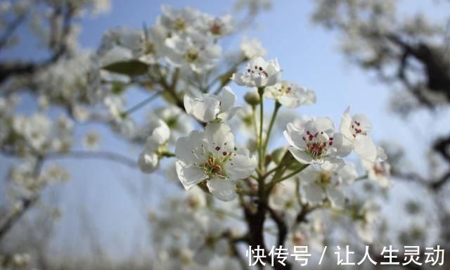 独自一人#杜牧被贬的一首诗,借酒消愁,读完悲从中来心碎不已,结尾更经典