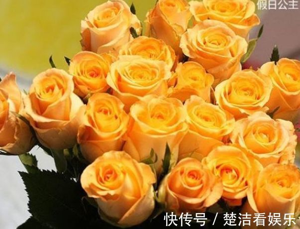 喜欢玫瑰，就养盆“高端品种”假日公主，花姿贵气，寓意美好