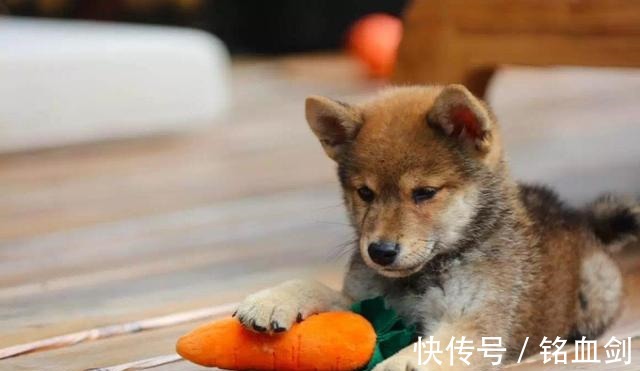 档综艺节目|明星妆前妆后差距太大宁静直言“洗了脸大家都是黄脸婆”