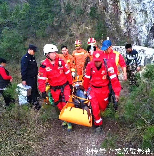 夫妻山顶拍照坠崖身亡，罪魁祸首却是一棵树，同行者目睹全程