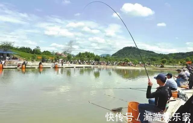 鱼儿|鱼情不好的时候，不妨试试这个钓法—“扎蛤蟆”