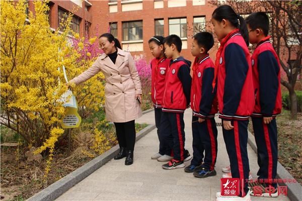 桓台县城南学校举行“我的校园我来装——挂树牌”活动