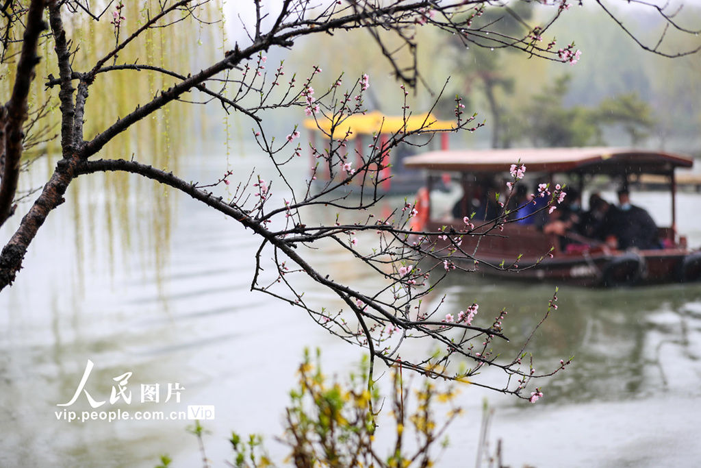 江苏扬州：烟雨瘦西湖