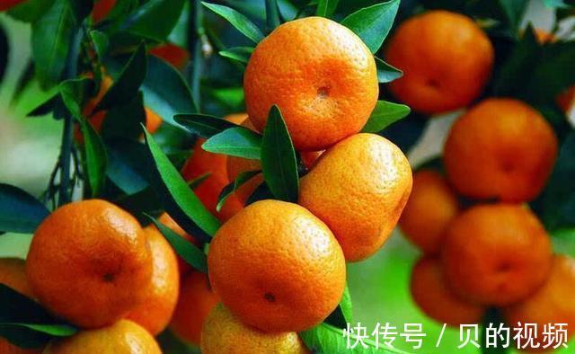 桃姐|别再让孩子“狂喝”牛奶，医生透露：2种“果”可敞开吃，助长个