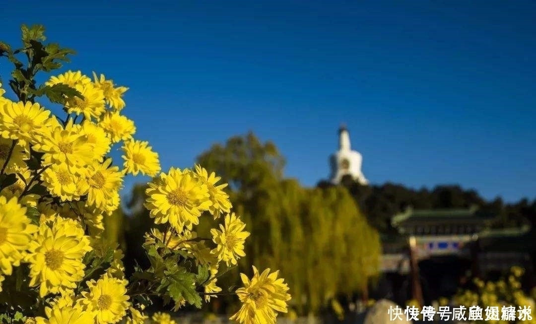 人际交往|征服别人，还需从“心”着手，才是最为有效的方法