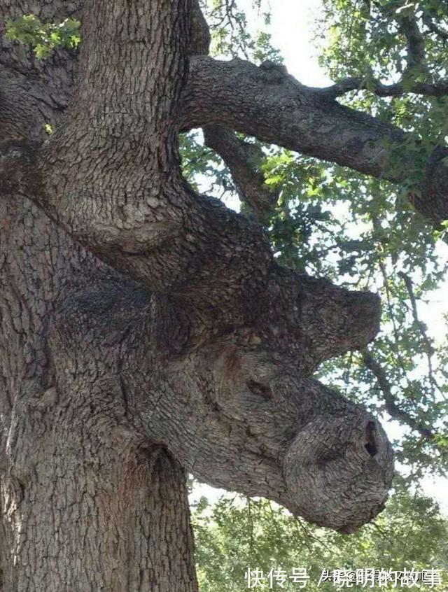 |开心一刻笑话：邻居在吵架，我见状马上上前劝架