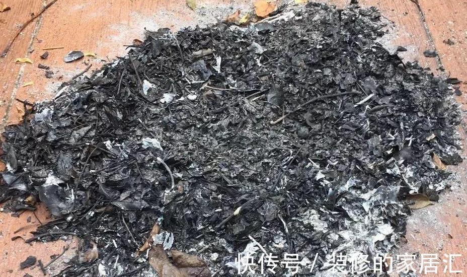 花友们|草木灰养多肉，取材简单好制作，效果好得出奇