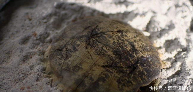 伊尹|为何中国人“敬神”却不“信神”,其实早在商朝的古人就已醒悟了