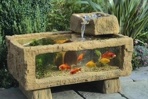 农村大水缸越来越不舍得扔了，铺些碎石水草变水景，城里人抢着要