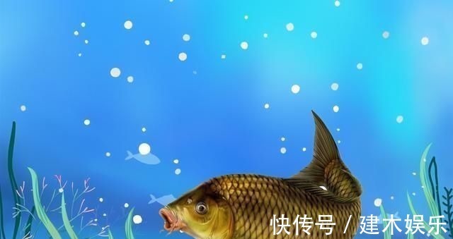 渔获|钓鱼的核心要素,全部领悟并掌握,你离“钓神”不远了