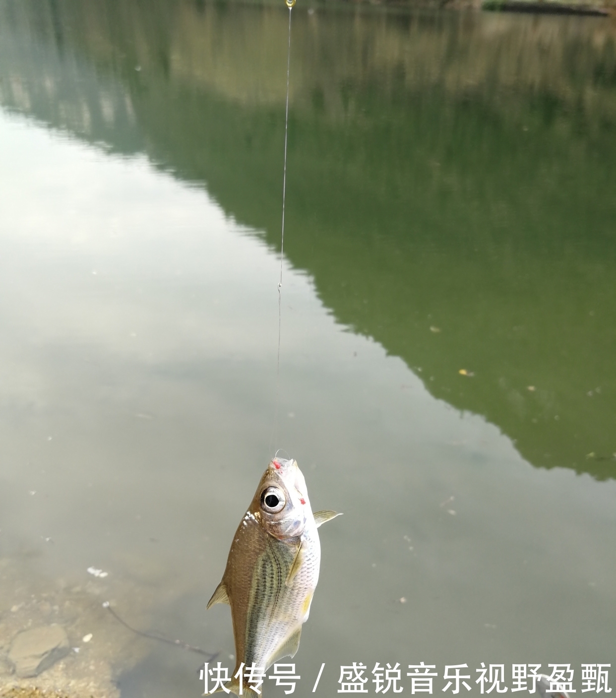 夏季|夏季怎样用蚯蚓钓鱼?简单易学的方法,上的都是大货