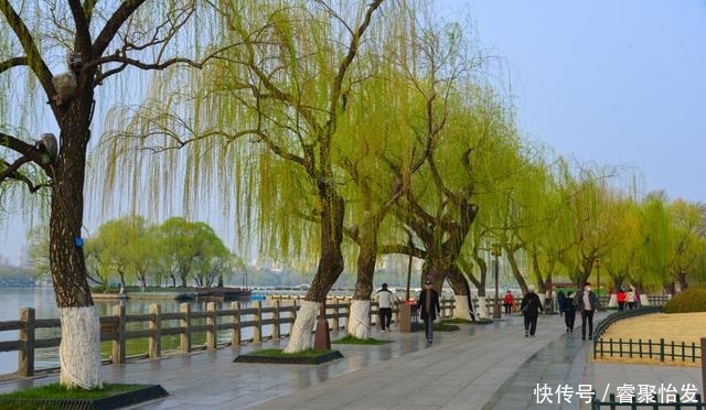 走，带上家人去野餐！《济南春日野餐指南》请收好！