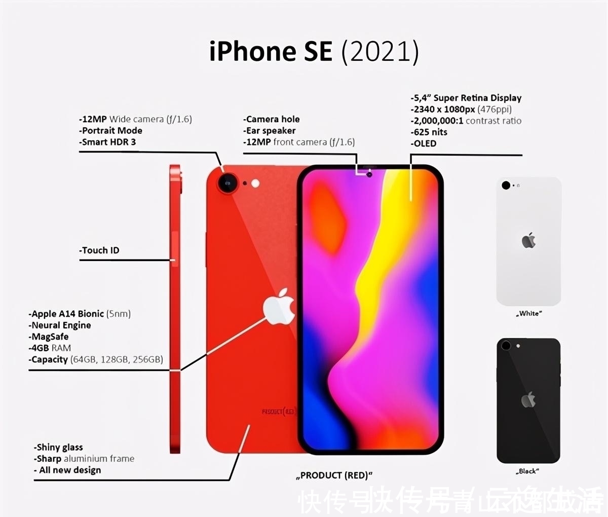 苹果|苹果大动作！新款iPhoneSE外观大改，偷师安卓用上挖孔屏
