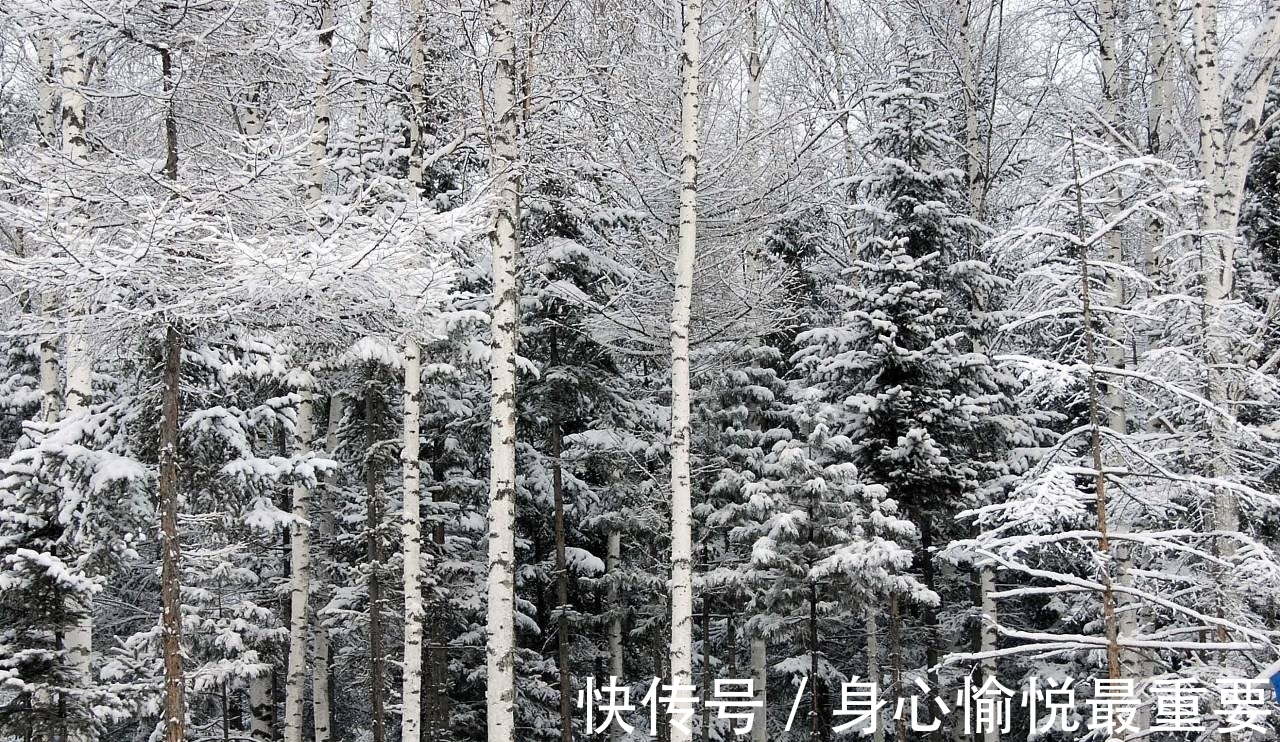 大雪#元代诗人一首咏雪七律,风竹云松银凤玉龙,浪漫主义情调让人心动