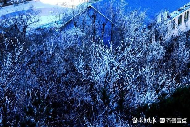 剔透|情报站｜宛如雪压枝！日照五莲大青山雾凇洁白剔透，独具风韵