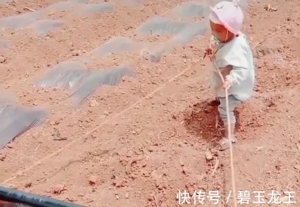 力气|“小奶嘴宝宝”下地干活火了,为了这个家也是操碎了心