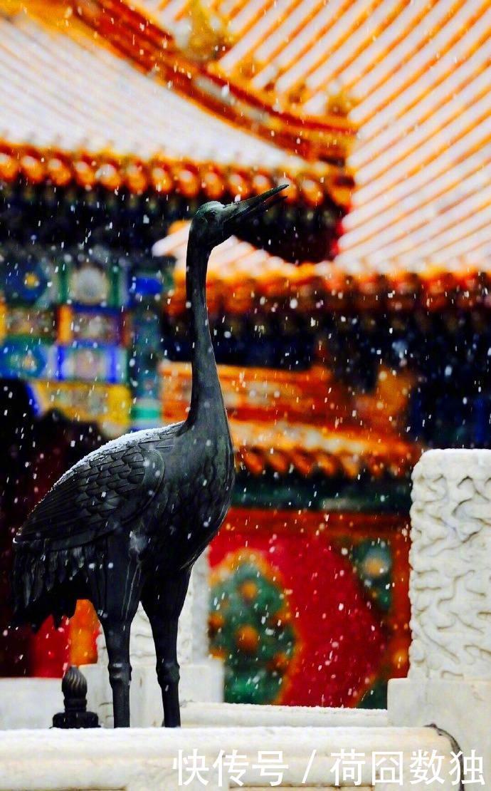 星球|故宫绝美雪景又火了!网友直呼梦回紫禁城,这两款神器更浪漫