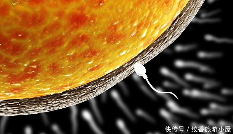 年龄|男性也有适宜生育年龄，这个年龄段的男性，生的宝宝更聪明健康