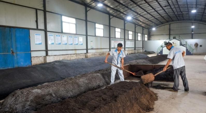 花卉|种植兰花是否需要施肥？想要种好兰花，这些点你要知道