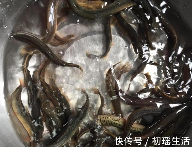 碰到这种鱼我从不还价,一买就是好几斤,简单一炖鲜美好喝还不腥