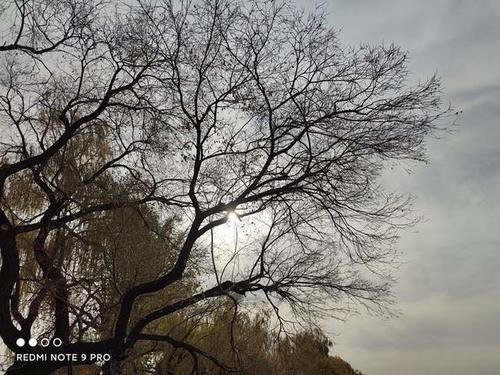 实拍|红米Note9 Pro一亿像素实拍，这真是一千多元的手机？