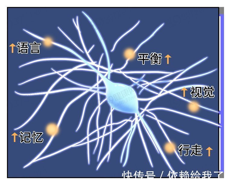 神经元|吃鱼时,哪些部位最营养,哪些部位毒性强?弄懂后,才知道怎么吃