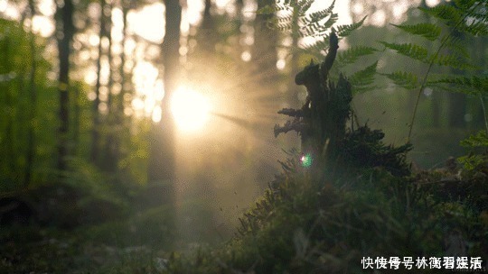 气血|91岁的奶奶有60岁的脸，血管健康，一点斑都没有，她是怎么做到的