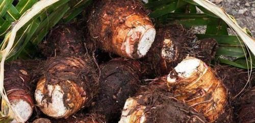 女人愛美，推薦常吃幾種食物，皮膚細嫩少皺紋，多吃不長肉