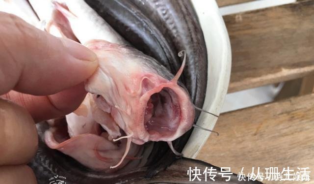 海鱼的100种吃法之一,炖鱼不放姜,无腥味,家人说锅太小不够吃!