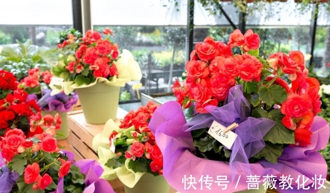 6种花草根本不值得花钱,老花匠良心总结,被骂也要公布