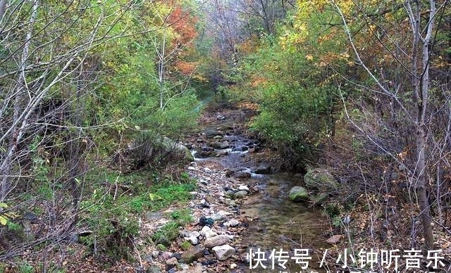 宝藏地|吉林旅游宝藏地，两个风格迥异的红叶谷，你更喜欢哪一个