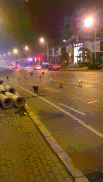 |搞笑GIF: 我猜学员是个女司机,要不你看教练都急成狗了