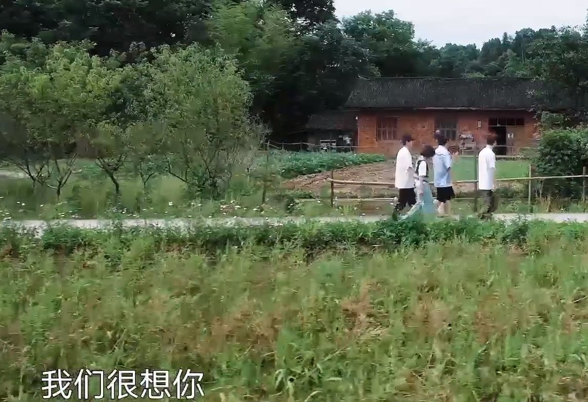 小姐姐|谭松韵“亮相”《向往5》，看清她的出场方式，何老师有心了