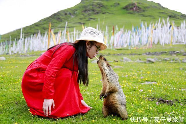 藏在深山中的小村落，如“世外桃源”一般，不仅有美景还有土拨鼠